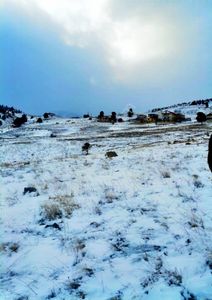 Kar Emlaktan Yazıcak Köyünde 500 M2 Satılık Arsa