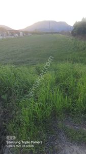 Ortaca Fevziye 2500 M2 Tarla