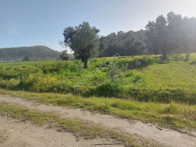 Seydikemer Karaköy'de Sahbinden 8650m2 Satılık Hissesiz Tek Tapu Tarla