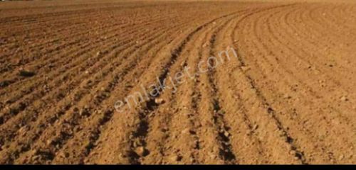 Satılık Tarla * Hayvancılık Yapmaya Uygun