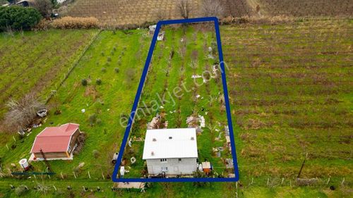 Kemalpaşa Ören'de Satılık Müstakil Tarla