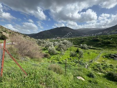 İzmir Menemen Ayvacıkta Manisa Yoluna Sıfır Satılık Tarla