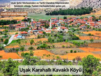 Uşak Karahallı Kavaklı Köy İçinde 4.505 M2 Bağ. 2 Katlı 80 M2 Ev İzni Var. Açıklamayı Okuyunuz.