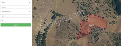 Tokat Otogara 5km Mesafede Satılık Tarımsal Arazi