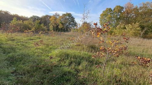 Akgün Kurumsal'dan Lengerli'de 5840m2 Satılık Fırsat Arsa