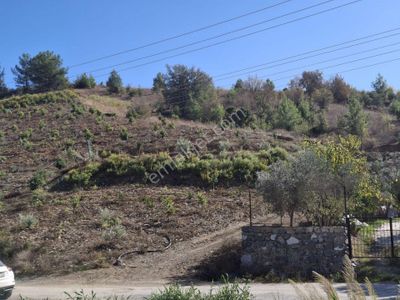 🌿 Alanya’ya Yakın – Tropikal Tarıma Uygun Verimli Arazi 🌿