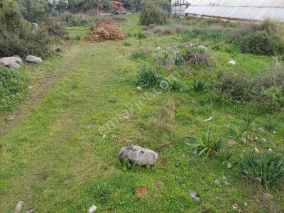 Stoptan Esenköyde Manzaralı Satılık Fırsat Tarla