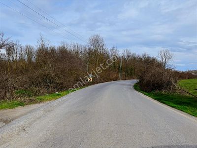 Manda Çiftliğine Uygun 16.703 M2 Satılık Yatırıma Uygun Kavaklık