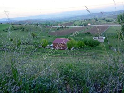 Çubukta Çiftlık 2 Katlı Ev Ahır Elektrik Su Yol Tel Örgü Var Polat Emlaktan
