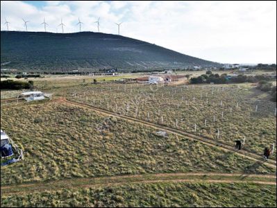 **didim Akyeniköy Balova 1'de 315 M² İmarlı Satılık Arsa