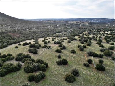 Balova 2 Mevki’de Kaçırılmayacak 315 M² Satılık Arsa