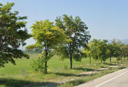 Meram Hatunsaray’da Fırsat 4.274 M² Müstakil Bahçe