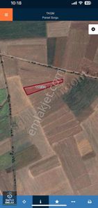 Oğulduruk Köyü Satılık 2700 M2 Tarla