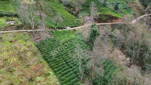 Trabzon Sürmenede Satılık Çay Bahçesi