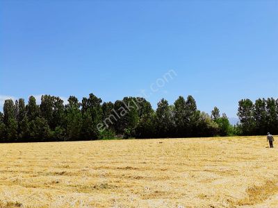 Tokat Bahçebaşın'da 56 Dönüm Çok Verimli Topraklı Anayol Kenarı