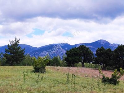 Kar Emlaktan Alpu Yaylasında 500 M2 Satılık Arsa