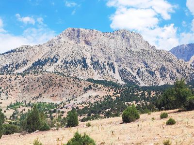 Kar Emlaktan Aşçı Bekirli Fenese Mevkiinde 450 M2 Satılık Arsa