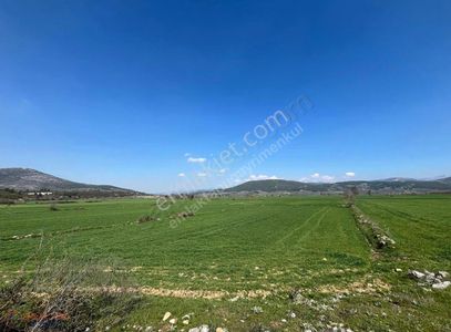 Muğla Menteşe Kafaca Mah. Satılık 2.090 M2 Tarla
