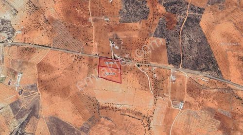 Cma Gayrimenkulden Oğuzeli Buldukta Satılık Tarla