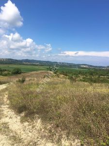 İstanbul Şile Bucaklı'da Yatırımlık Tarla