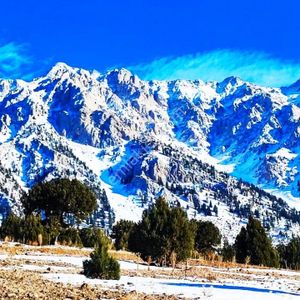 Kar Emlaktan Aşçıbekirli Fenese Mevkiinde 400 M2 Satılık Arsa