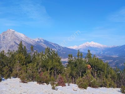 Kar Emlaktan Yenikonacık Bozkırlı Mevkiinde 365 M2 Satılık Arsa