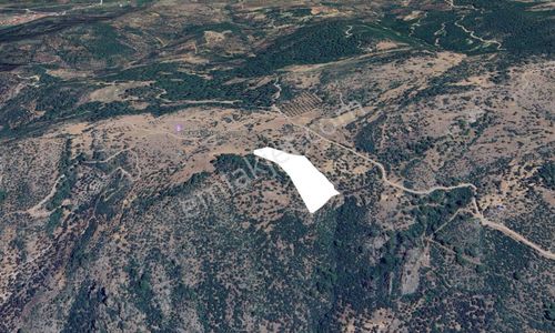 Golden Globy'den Havran'da Harika Konumda Satılık 22 Dönüm Tarla