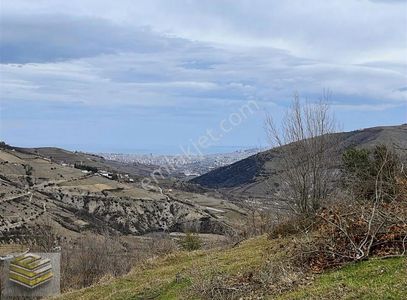 Ekipten Canik Kızıloğlakta Deniz Manzaralı Tarla Emsali Yok