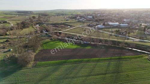 Çoban Gayrimenkulden Saray Ayaşpaşa 800m Tek Tapu Tarlamız Satılık