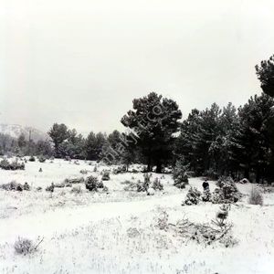 Kar Emlaktan Gökbez Yaylasında İmara Uygun 10 Dönüm Satılık Tarla