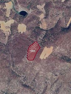 Uşak Eşme Kayalı Köyü’nde Satılık 15700 M2 Tarla!