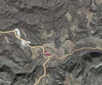 Uşak Eşme Kayalı Köyü’nde Asfalt Yola Sıfır, Yatırımlık Tarla!