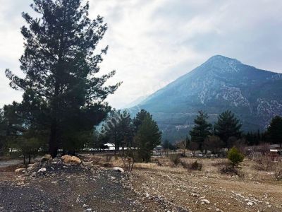 Kar Emlaktan Alpu Yaylasında 400 M2 Satılık Arsa