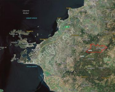 Golden Globy, Burhaniye Hacıbozlar'da Satılık 4.120 M2 Zeytinlik