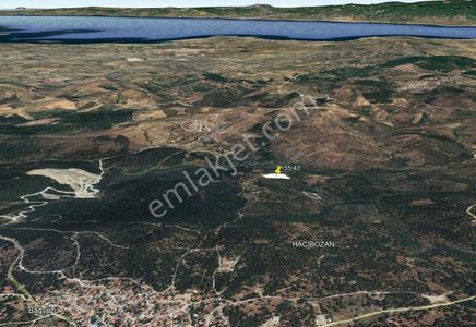 Golden Globy, Burhaniye Hacıbozlar'da Satılık 11 Dönüm Fıstık Çamlığı