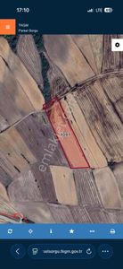 Tekirdağ Hayrabolu Çıkrıkçıda 10.400m2 Satılık Tarla