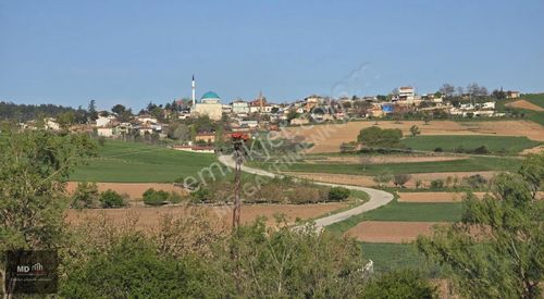 Yenişehir Alaylı'da Satılık 19.375m² İmar İçerisinde Tarla