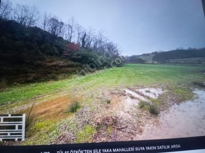 Tülay Özkökten Şile Yaka Mahallesi Suya Yakın Satılık Arsa