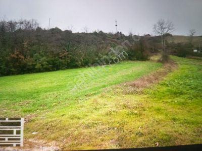 File Yaka Mahallesi Suya Yakın Tarla