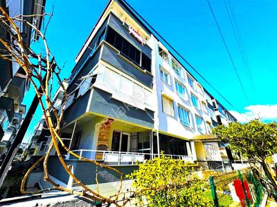 🏠blue Life Egen'den Gerçek İlan-altınkum'da Denize 450mt Ön Cephe Ayrı Mutfaklı 2+1 Daire