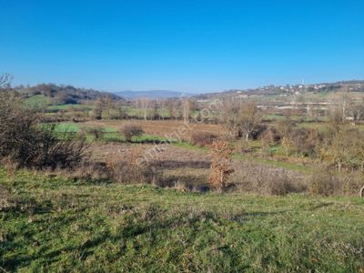 Akgün Kurumsal'dan Kavak'da Satılık 3479 M2 İki Parsel Tarla