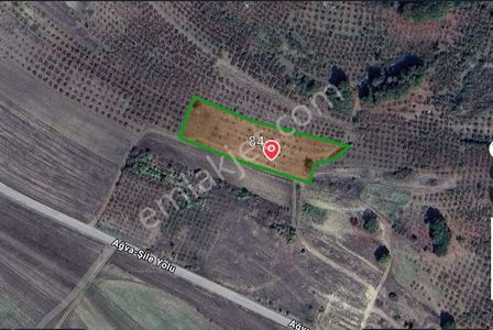 Turyap'tan Ağva-şile Yoluna Yakın, 3728 M² Müstakil Tapulu Arazi