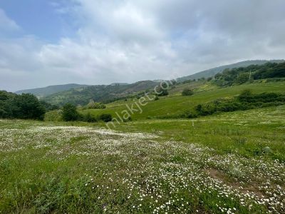 Kocaeli Karamürsel Fulacık %5 İmarlı 7470 M2 Satılık Tarla