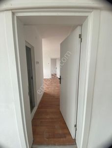 Mevlana Da Masrafsız Daire