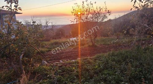 Gözüküçüklüde 1164m2 Satılık Full Deniz Manzaralı Tarla
