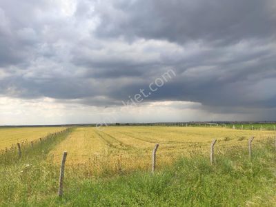 Lüleburgaz'da Mustakil Tapu 5.500 M2 Satılık Tarla