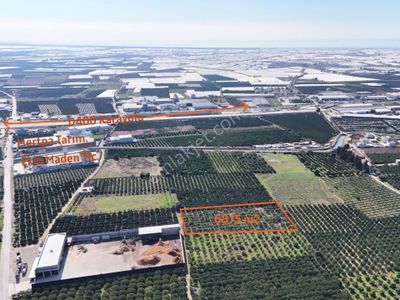 Mersin Akdeniz Sarııbrahimli Satılık Bahçe Arazi