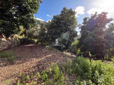 Alanya Kızılcaşehir'de Satılık 215 Mt2 Tarla