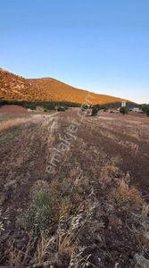 Akhisar Dogankaya Da 4.100 Metre Kare Yatırımlık Tarla