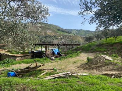 Aydın Dalama Mahallesin'de Satılık 1620 M2 Bahçe Evi